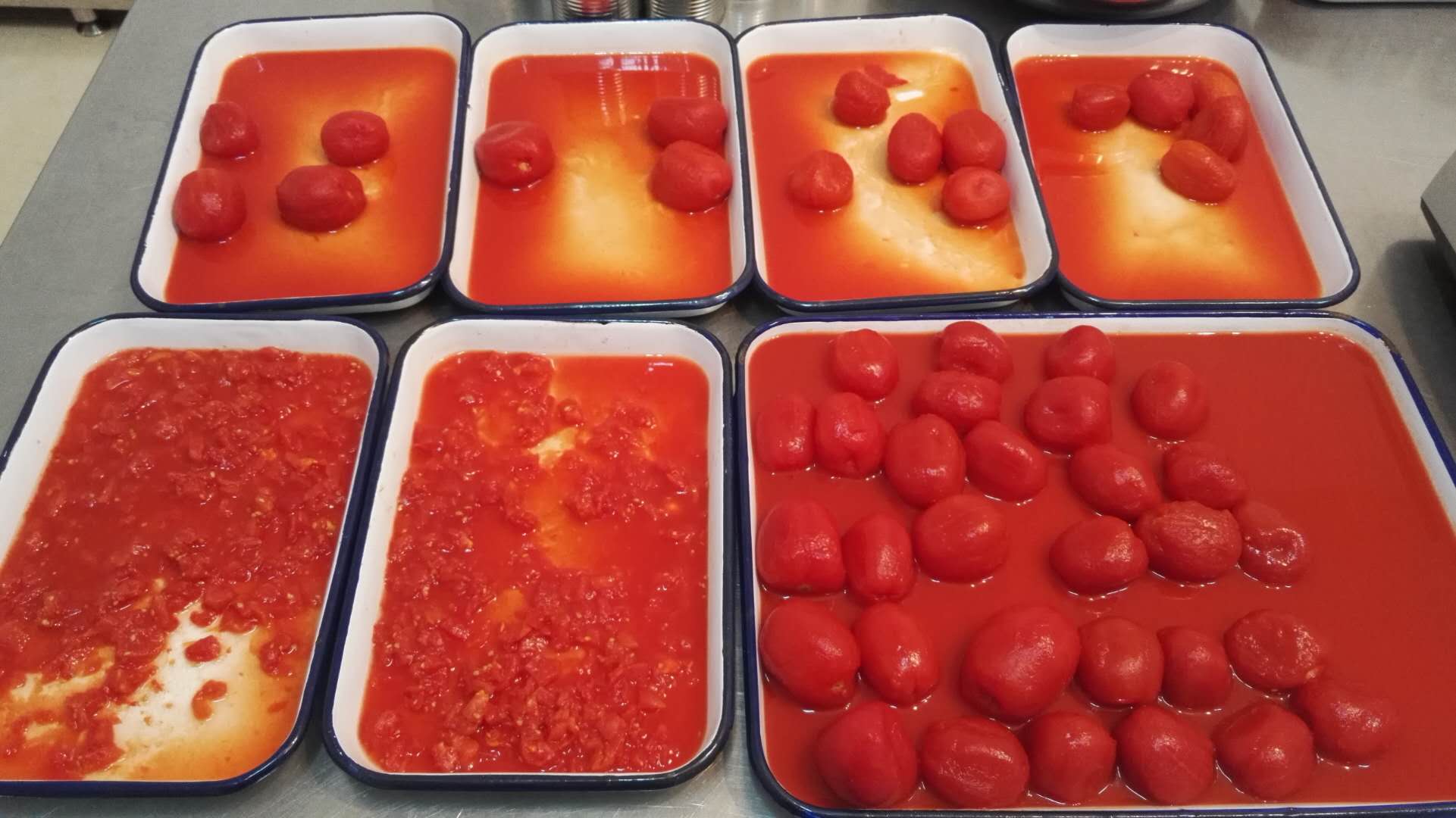 Tomatenwürfel in der Dose 400g,800g,2500g,2850g